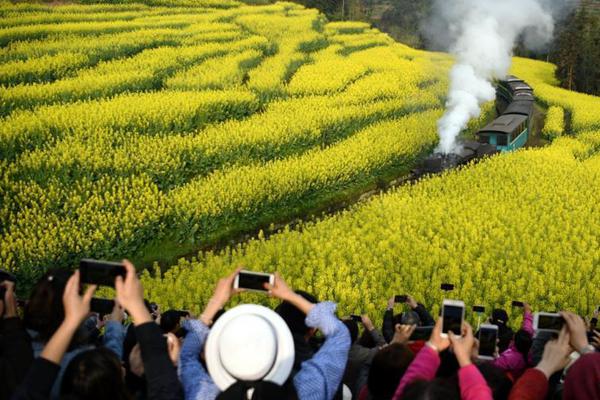 螺旋道釘高效選購要點解析